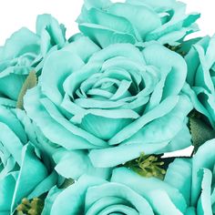 a bouquet of blue roses on a white background