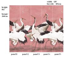 four cranes are standing in front of a pink background