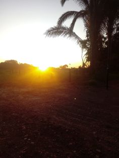 the sun is setting behind palm trees in an empty lot with no people around it