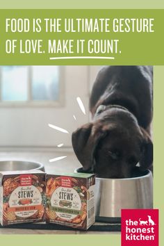 a dog eating out of a bowl with the caption food is the ultimate gesture of love make it count