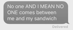 a blue text message that says no one and i mean no one comes between me and my sandwich