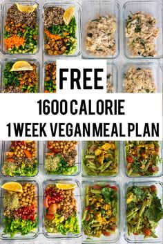 Vegan meal plan 1600 calorie 1600 Calorie Meal Plan, 1800 Calorie Meal Plan, 1200 Calorie Diet Meal Plans, 1500 Calorie Meal Plan, Vegan Meal Plan, Vegan Protein Recipes, Plant Based Meal Planning, Vegan Diet Plan, Daily Meal Plan