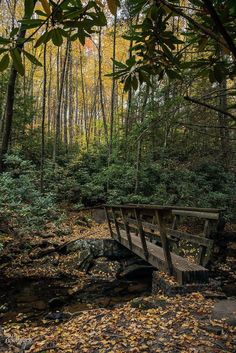 a wooden bridge in the middle of a forest with leaves on the ground and trees around it