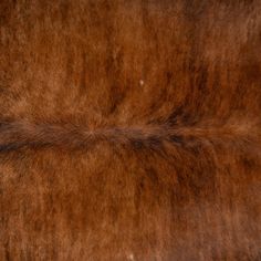 the fur is brown and black in color