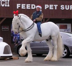 a man riding on the back of a white horse