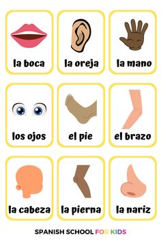 Spanish Lessons For Preschoolers, Spanish Kindergarten Worksheets, Academic Advice, Teaching Spanish To Kids, Spanish Body Parts, Body Parts In Spanish