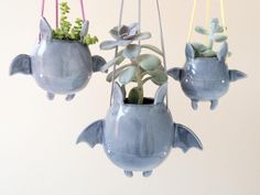 three blue ceramic fish planters with succulents hanging from the ceiling,