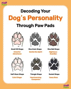 a dog's paw chart with the words describing how many paws are in different colors