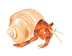 a watercolor painting of a shell and a lobster