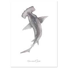 a black and white drawing of a shark