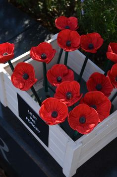 a bunch of red flowers in a white box