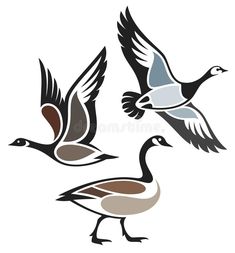 two ducks flying side by side in the air with their wings spread out and one duck is