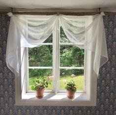 two potted plants sit in front of a window with sheer curtains on the windowsill