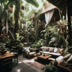 a living room filled with lots of plants and couches next to eachother