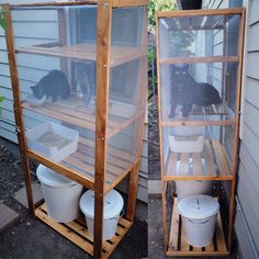 two cats sitting in a cage on top of wooden pallets next to each other