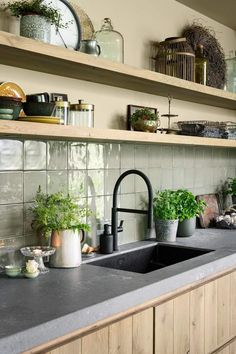 a kitchen sink sitting under a window next to wooden shelves filled with potted plants