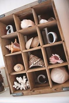 an old wooden box filled with seashells and other sea creatures on display in a bathroom