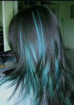 Chunky Highlights Blue And Black, Striped Hair Color, Purple Racoon Tail Hair, Pfp For Mom Contact, Hair Colors To Dye Your Hair, Colored Hair Strands, Monster High Hair Dye, Teal Hair Streaks, Frosted Tips Women Hair