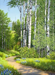 a painting of bluebells and birch trees on a path in the woods by an artist