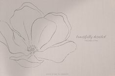 a drawing of a flower on a white background