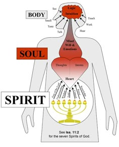 the body and its parts are labeled in red, white, and blue text that says soul