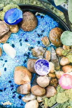 various rocks and plants in a pot with blue water on the ground next to them