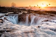 the birds are flying over the water at sunset