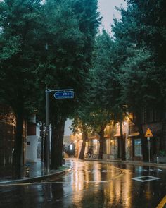 an empty street at night with rain on the ground and trees lining the road,