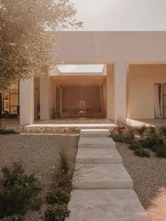 the entrance to a modern house with stone steps leading up to it and an olive tree in the foreground