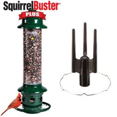 the squirrel buster plus bird feeder is green and has a red cardinal on it's side