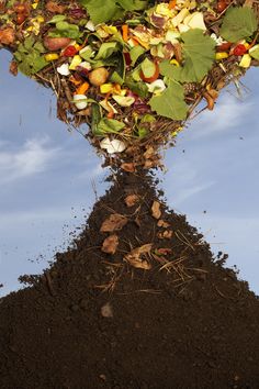 a pile of dirt with leaves and other things on top that is in the ground