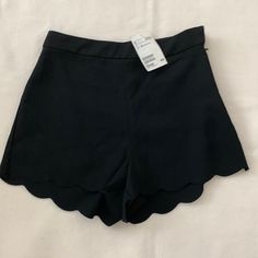 New With Tags, Never Wore. No Pockets Lined With Side Zipper. Adorable Shorts Can Be Worn With Ankle Boots, Heels Flatsvery Versatile. H&m Fitted Short Bottoms, H&m Fitted Short Length Bottoms, Fitted Short Length Bottoms By H&m, Fitted Short Length H&m Bottoms, Chic High Waist Shorts By H&m, Fitted H&m Summer Shorts, Black Stretch Bottoms From H&m, H&m Stretch Shorts For Summer, Chic Short Bottoms By H&m