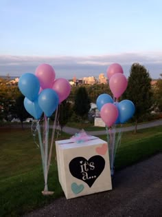 some balloons are in the grass near a box with a heart and it's 1st birthday sign