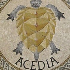 a mosaic with the words aced ii on it and an image of a turtle