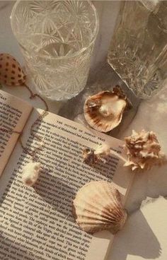 an open book sitting on top of a table next to sea shells