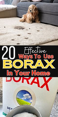 a dog laying on the floor in front of a couch with text overlay that reads 20 effective ways to use borax in your home