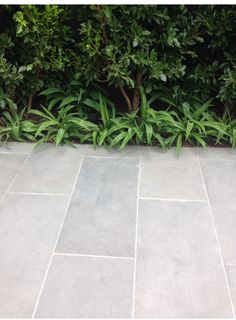 an outdoor patio with stone tiles and plants