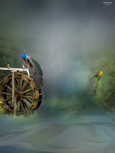 two birds sitting on top of a wooden wheel in the middle of a forest with trees