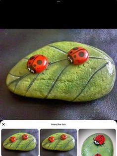 two ladybugs sitting on top of a green leaf with four photos below them