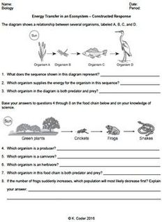 the worksheet for an animal and plant life cycle is shown in this image