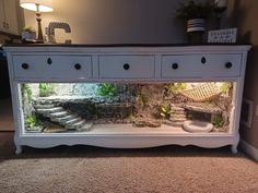 a fish tank sitting on top of a white dresser