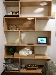 a cat sleeping on top of a wooden shelf