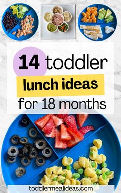 lunch ideas for toddlers that are easy and fun to make with their own hands