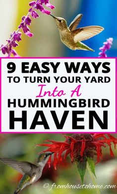 a hummingbird flying towards a flower with the words 9 easy ways to turn your yard into a hummingbird haven