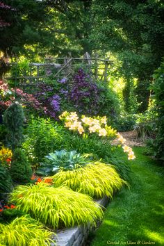 a garden filled with lots of green plants and flowers