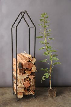 a tree is next to a stack of firewood and a potted plant on a table