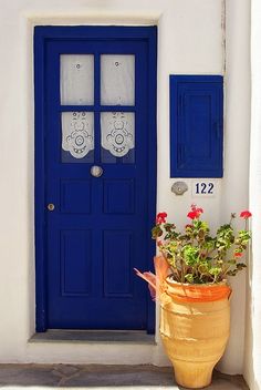 a potted plant sitting in front of a blue door