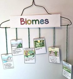 a sign that says biomes hanging on a wall next to some cards and magnets