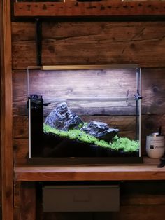 an aquarium with rocks and algae in it on top of a wooden shelf next to a window