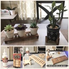 several pictures of different plants in pots on a table with glue and wood planks